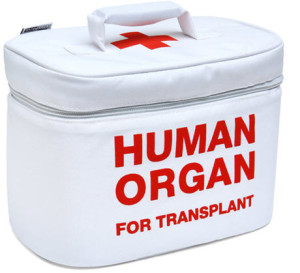 human_organ_lunchbox