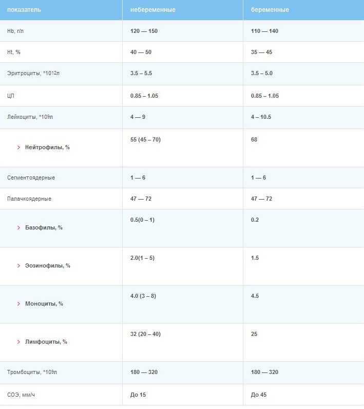 Нормы общего анализа крови беременных женщин