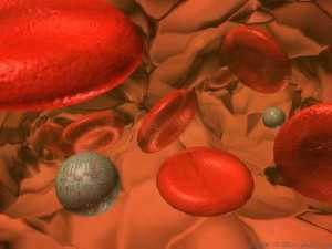 белки в биохимическом анализе крови