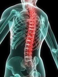 травма спинного мозга и позвоночника
