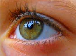 Ячмень на глазу – причины, симптомы и лечение заболевания