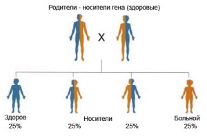 Наследственная передача заболевания