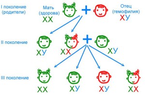 Схема наследования