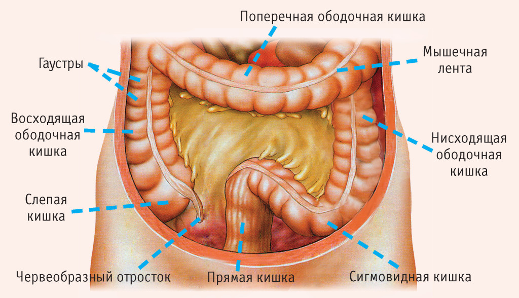 Что такое гематома желудка thumbnail