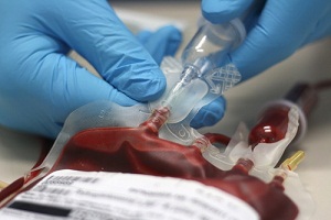 Переливание крови