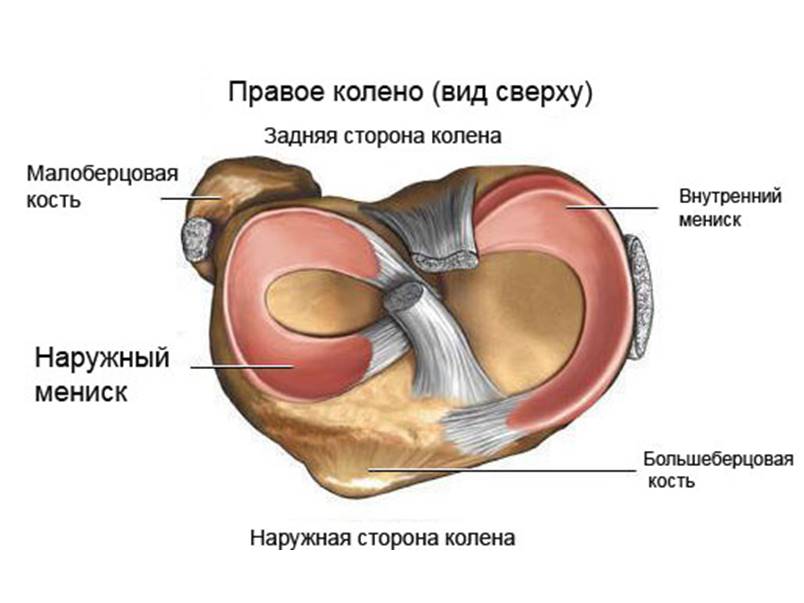 Виды травм колена