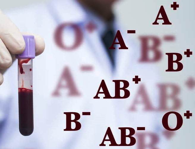 Анализ на группу крови и резус-фактор – как подготовиться к исследованию, и как расшифровать результаты?