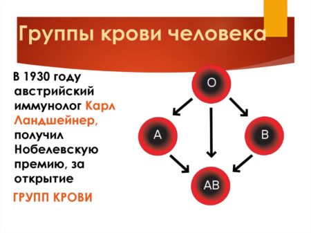 Анализ крови на группу крови как подготовиться thumbnail