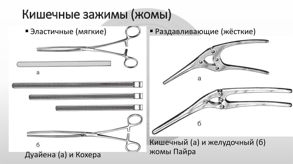 Зажимы-жомы